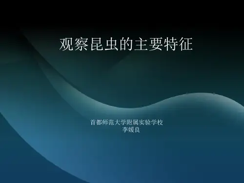 观察昆虫的主要特征记录表58027教学提纲