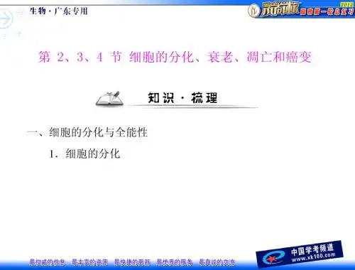 必修1 第6章 细胞的生命历程 第2、3、4节 细胞的分化、衰老、凋亡和癌变