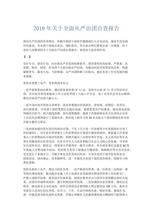 总结报告-2019年关于全面从严治团自查报告 精品