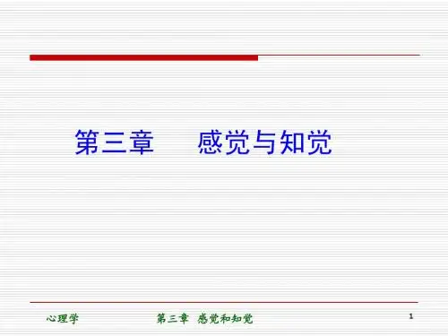 第三章 感觉和知觉