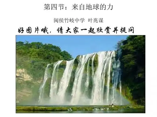 八年级物理来自地球的力