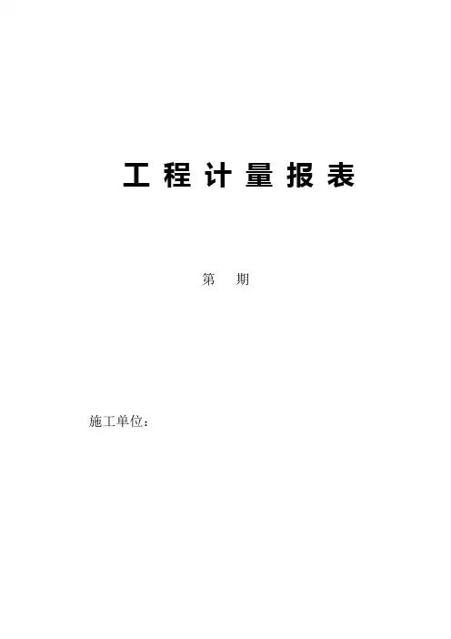 工程计量表