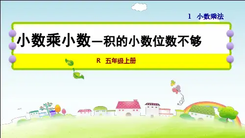 5数人教版第1单元小数乘法第3课时小数乘小数