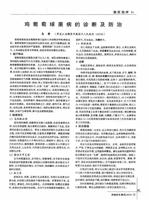 鸡葡萄球菌病的诊断及防治
