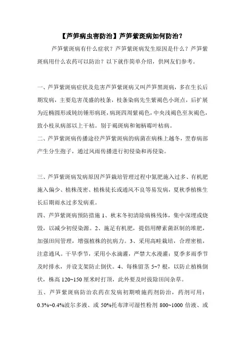 【芦笋病虫害防治】芦笋紫斑病如何防治？