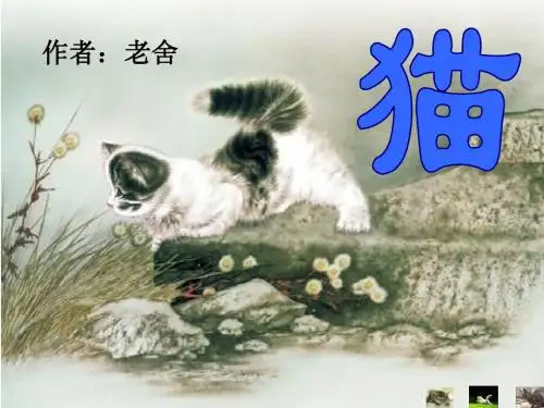 《猫》老舍(公开课课件)