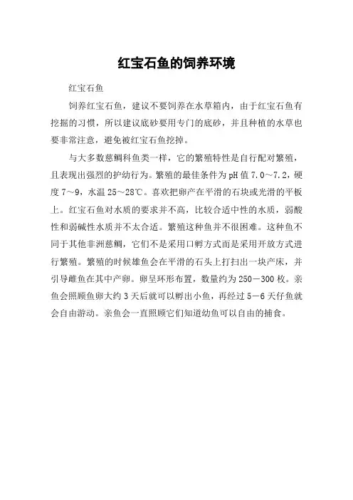 红宝石鱼的饲养环境