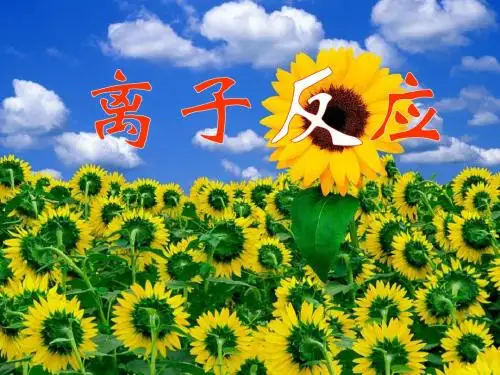 高三一轮复习：《离子反应》课件(新人教版)