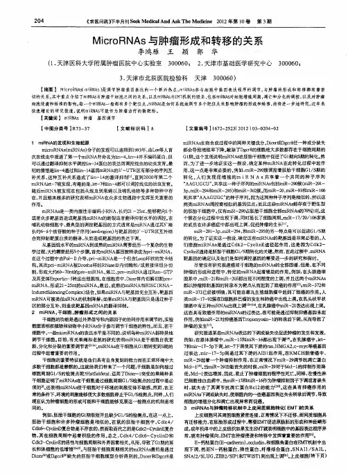MicroRNAs与肿瘤形成和转移的关系