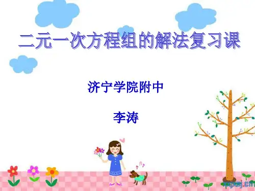 二元一次方程组经典总结