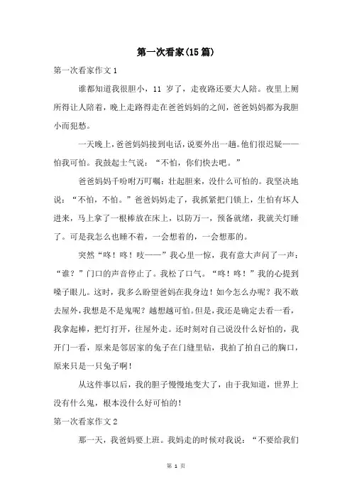 第一次看家(15篇)