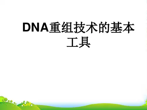 人教版高中生物选修三课件:1.1基因工程的基本工具 (共16张PPT)