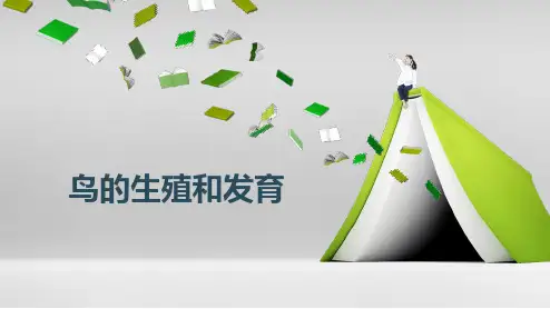 人教版八年级生物下册第七单元第一章第四节《鸟的生殖和发育》 说课课件