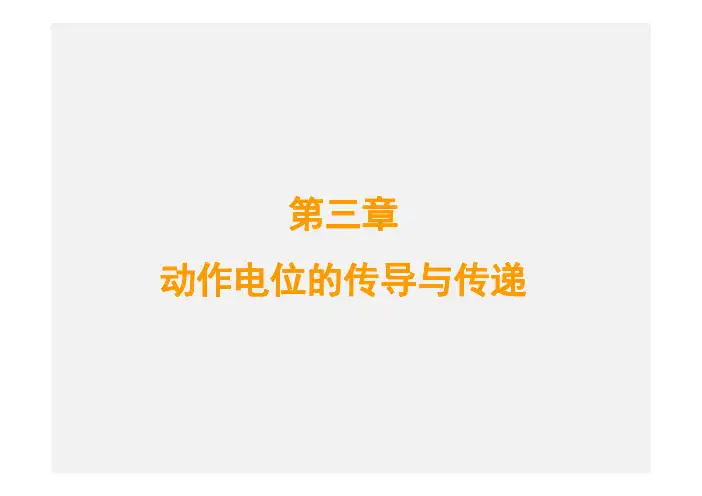 神经细胞动作电位ppt