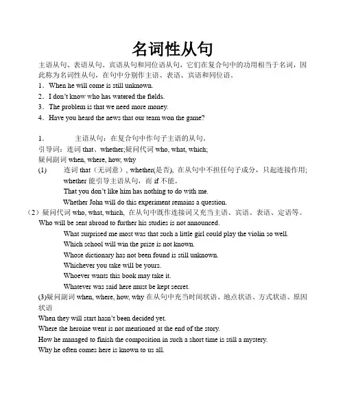 名词性从句 3
