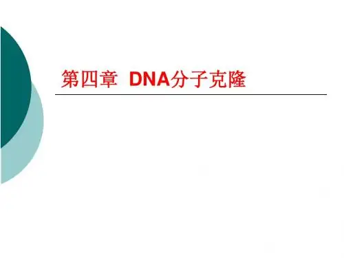 第四章DNA分子的克隆