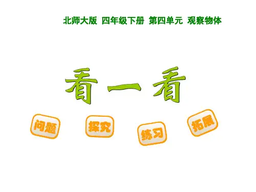 北师大版数学第二学期四年级下册《看一看》公开课t课件