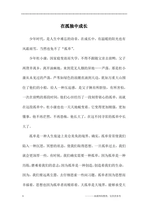 在孤独中成长_高二作文