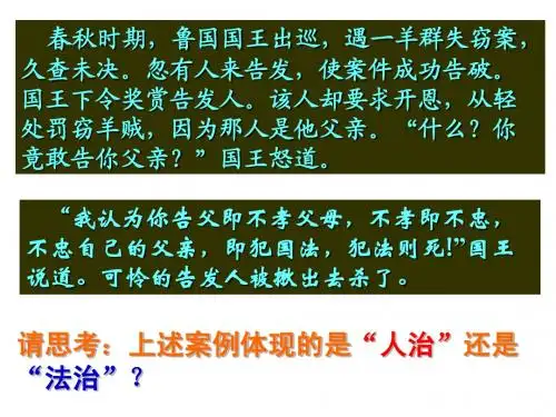 认识依法治国课件