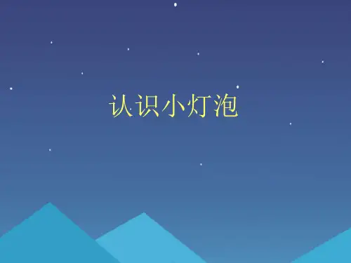 (教科版四年级下册)科学点亮小灯泡课件