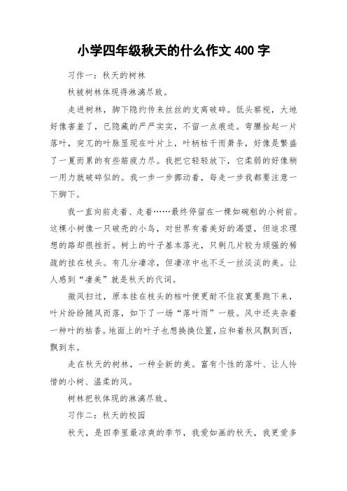 小学四年级秋天的什么作文400字_作文