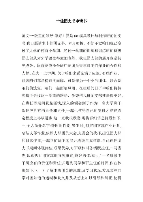 十佳团支书申请书