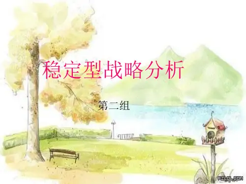 稳定型战略分析PPT( 第二组)