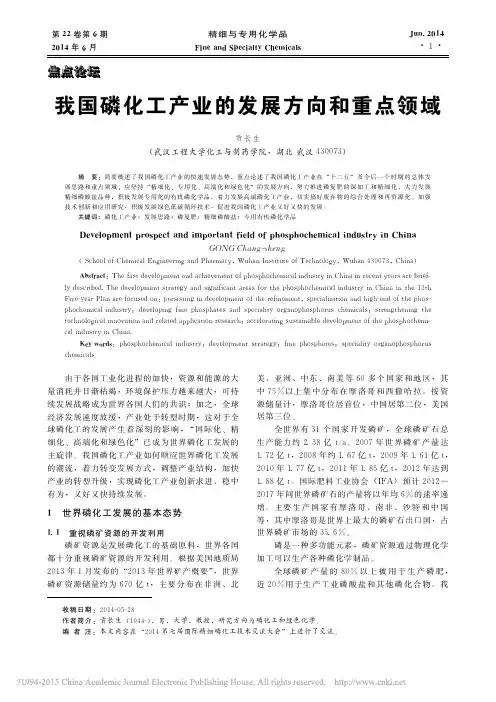 我国磷化工产业的发展方向和重点领域