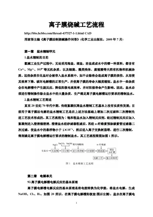 离子膜烧碱工艺流程
