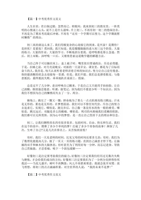 最新中考优秀作文范文：我的初三生活