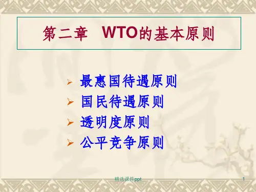 《WTO专题》PPT课件