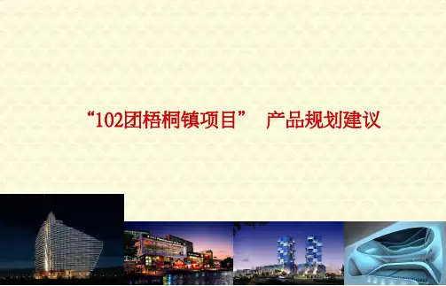 新疆102团项目全案策划报告