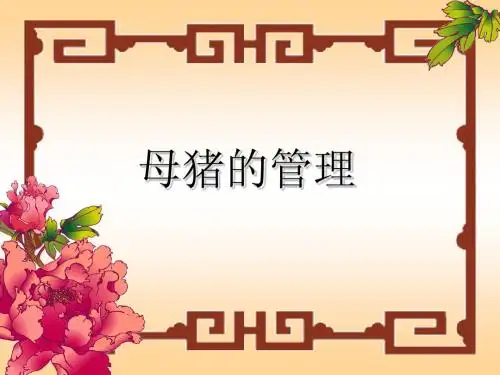 母猪的管理篇