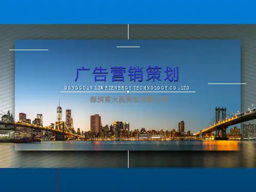 【广告营销】传播定位与广告策略