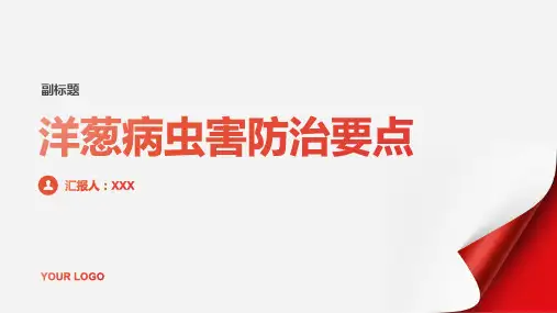 洋葱病虫害防治要点