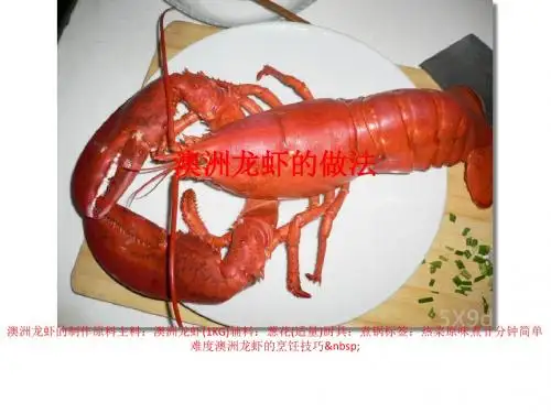 澳洲龙虾