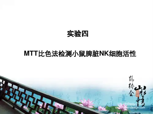 (病原免疫实验课件)实验四MTT比色法检测小鼠脾脏NK细胞活性