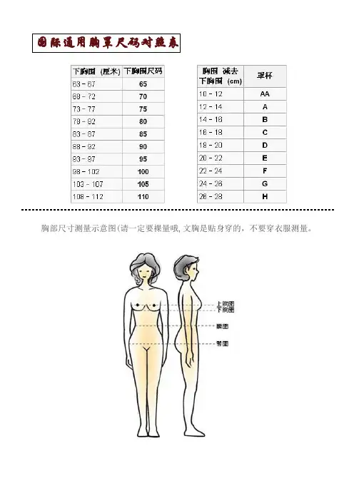 国际通用胸罩尺码对照表-及其他(DOC)
