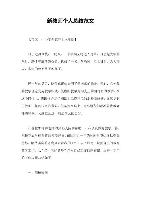 新教师个人总结范文