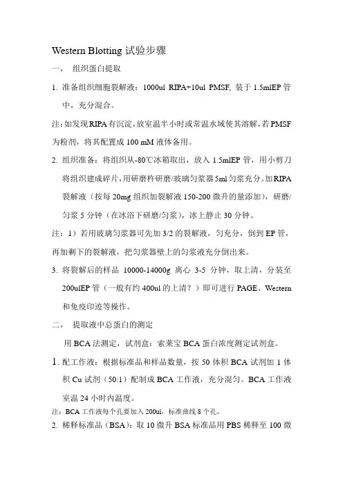 WB操作步骤