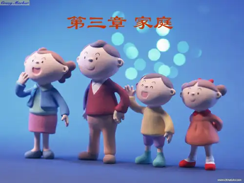 人类行为与社会环境 第三章 家庭