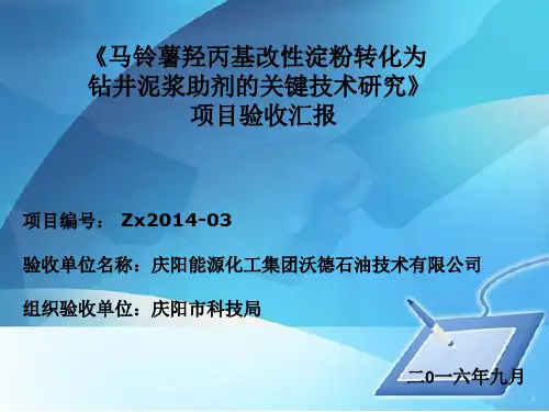 科技项目验收ppt课件