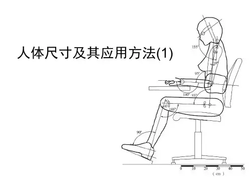 人体尺寸及其应用方法.ppt