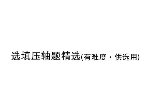 年中考数学总复习(人教版)习题课件(图片版)(含2018最新试题):选择填空压轴题精选(有难度 供选用)(共