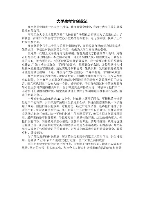 大学生村官创业记