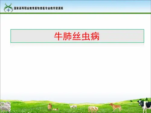 40牛肺丝虫病.ppt
