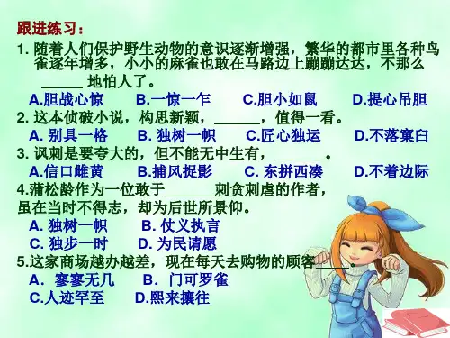 巩固训练(成语)