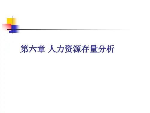 第六章人力资源存量分析合集PPT课件