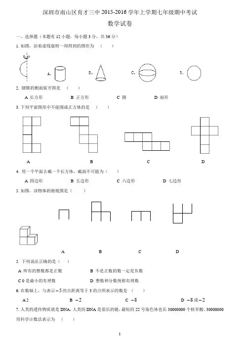 深圳市南山区育才三中2015-2016学年上学期七年级期中考试数学试卷