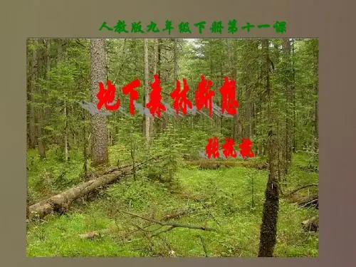【最新】人教版 九年级语文下册课件地下森林断想(共21张PPT)